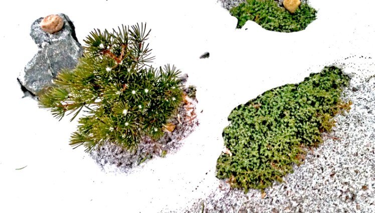 20161227_162511islandlr11