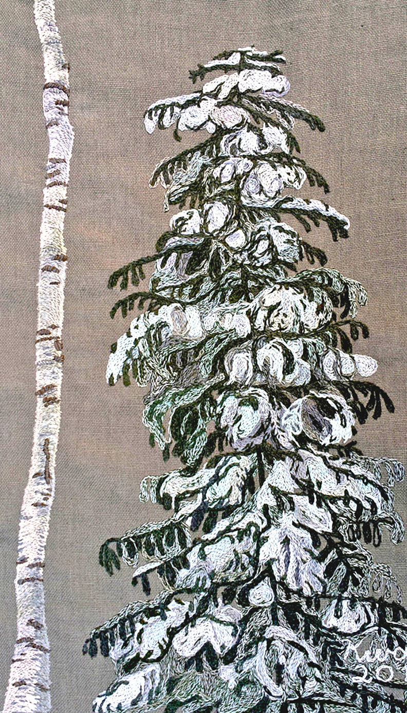 birch-and-spruce-lr11