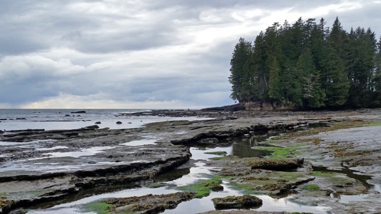 20170225_160124tidelr11