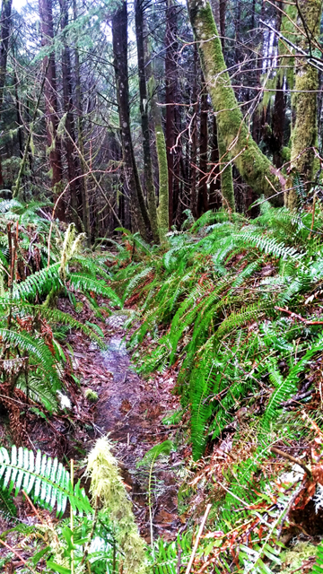 20170303_110627streamlr5