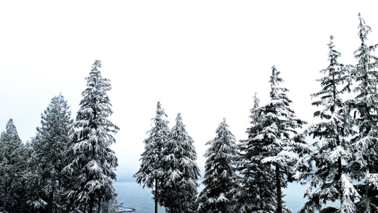 20170306_090713MondayLR11