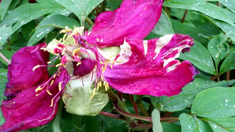 spent 2017-06-01 07.19.56