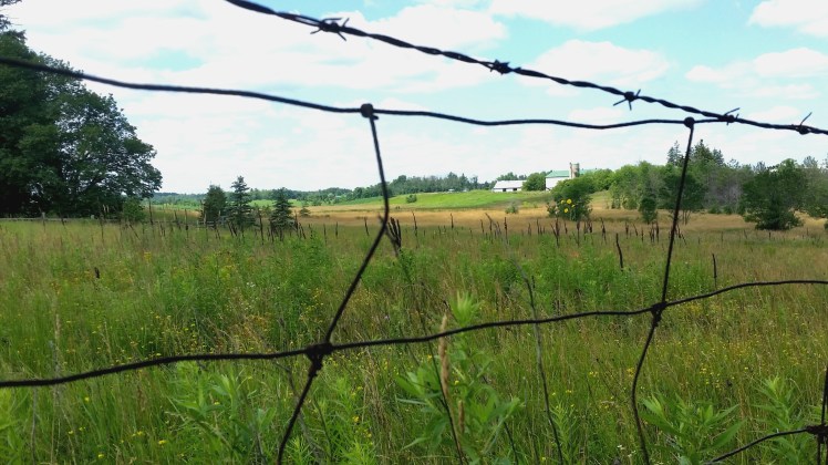 More from the Heart 2017-07-17 15.31.00