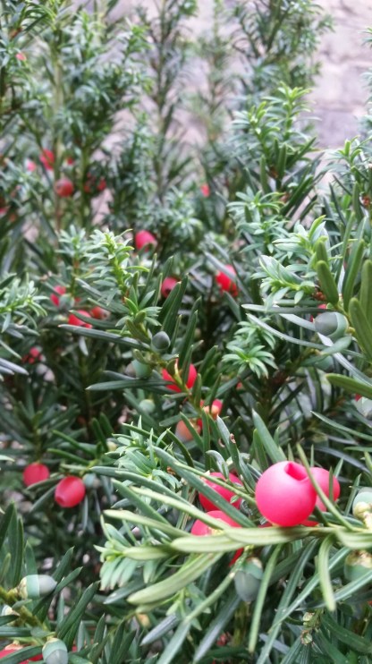 20170810_182041_1502834152096