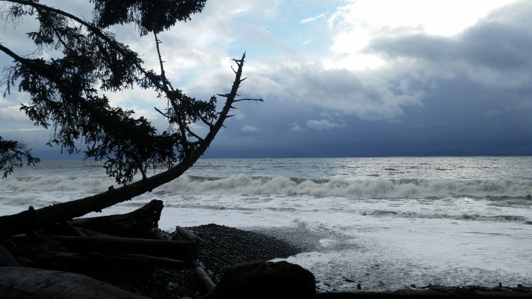 Defiance 20180121_150736_resized