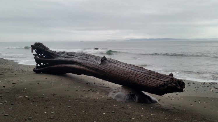 was a Tree 2018-01-23 20.16.17