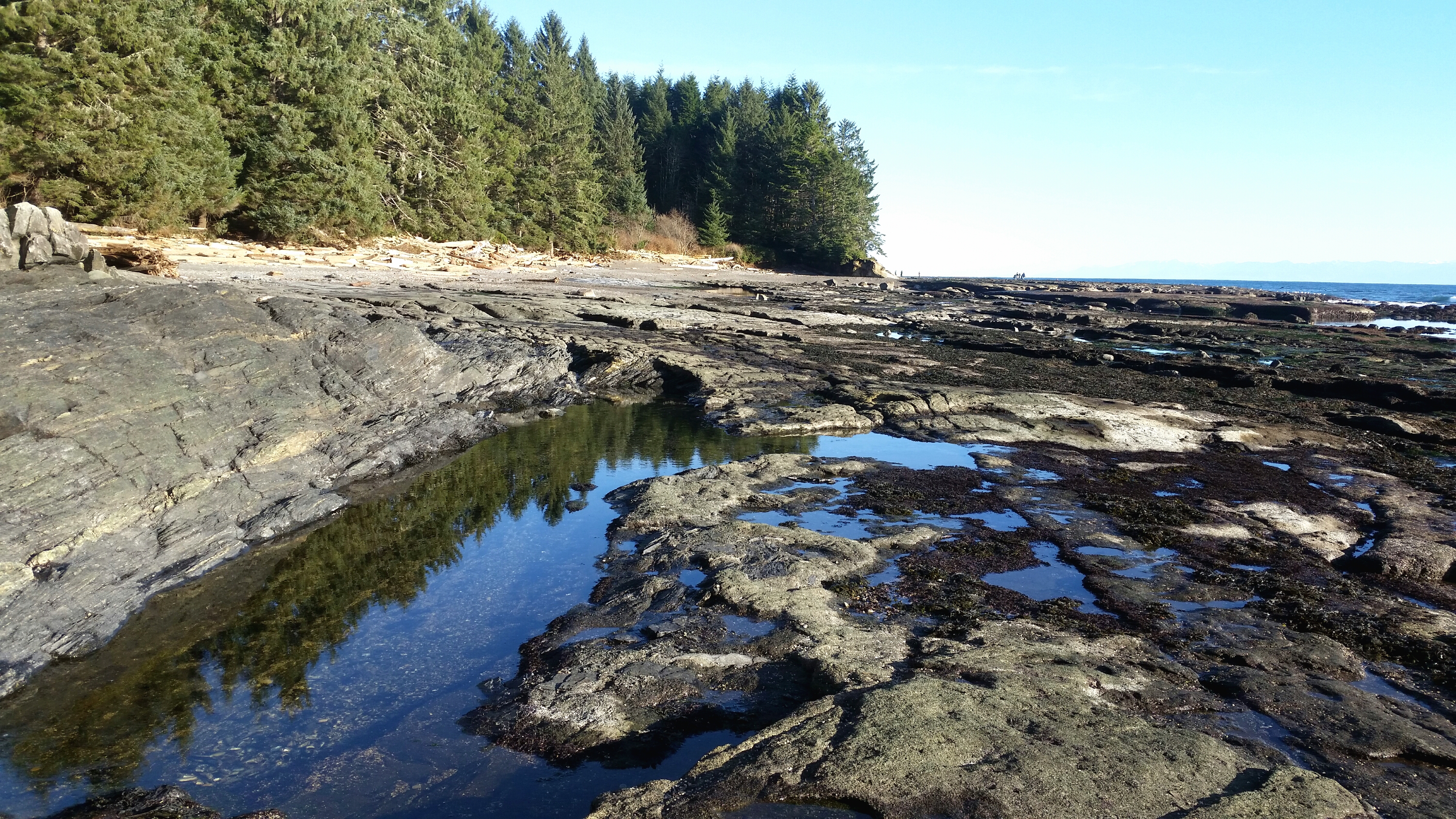 Margins 2018-02-13 12.07.07