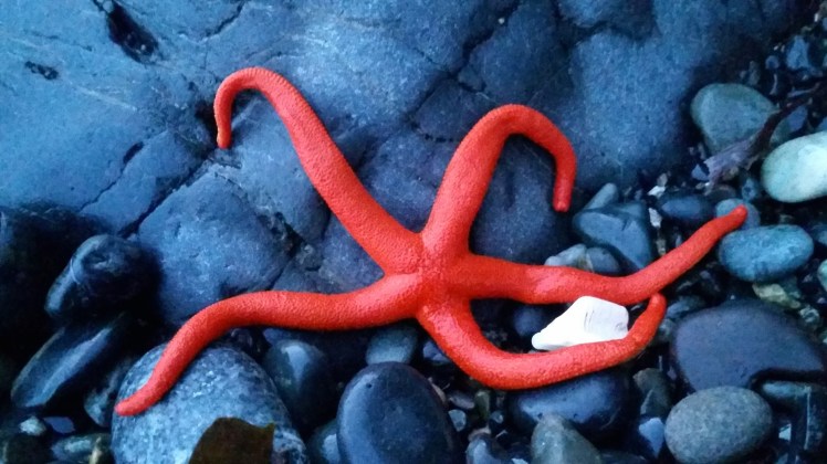 superSTAR 2018-01-25 21.20.53