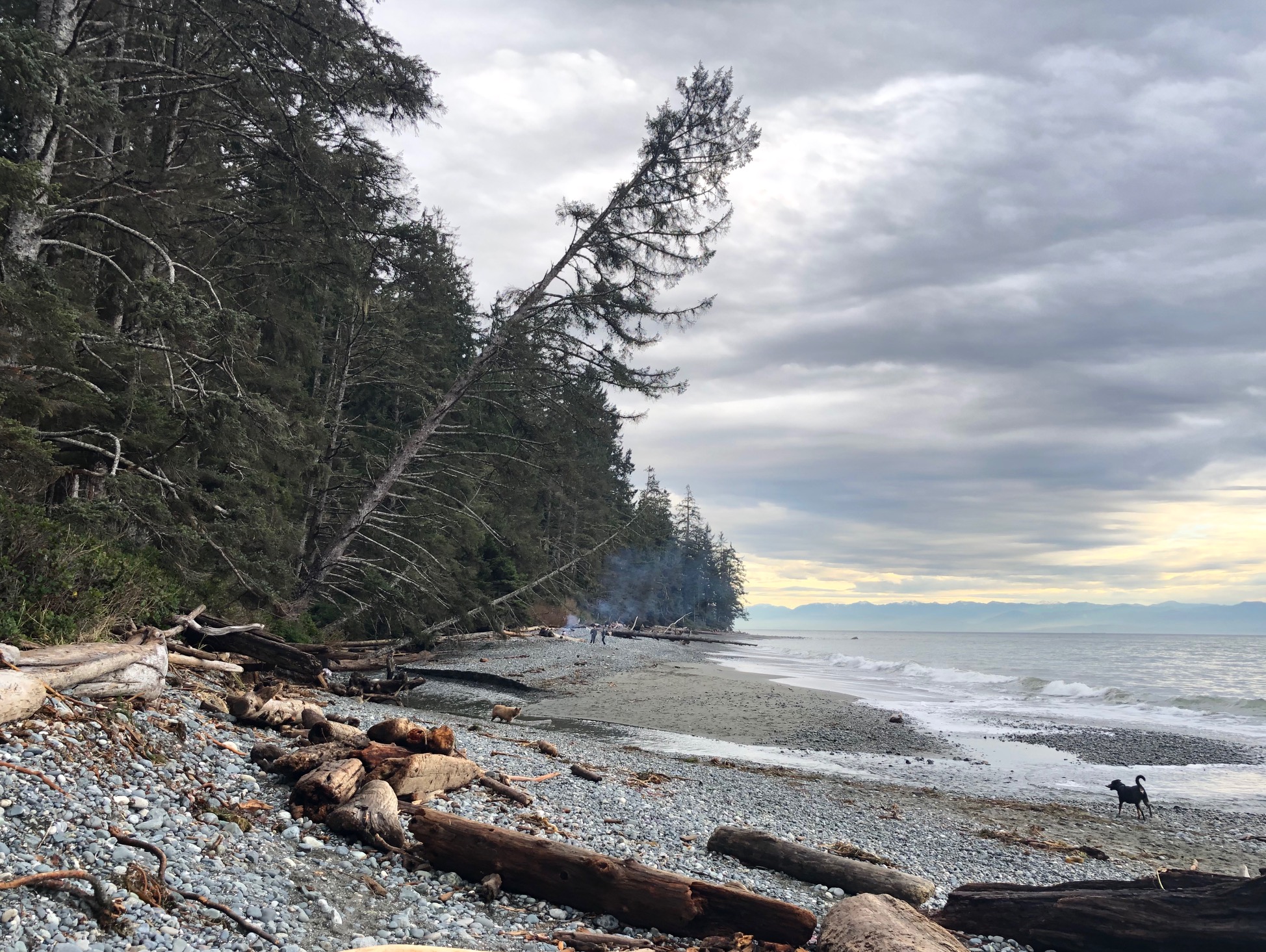 china beach january 15 2019