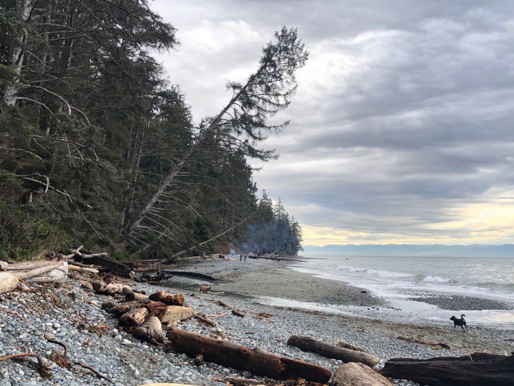 china beach january 15 2019