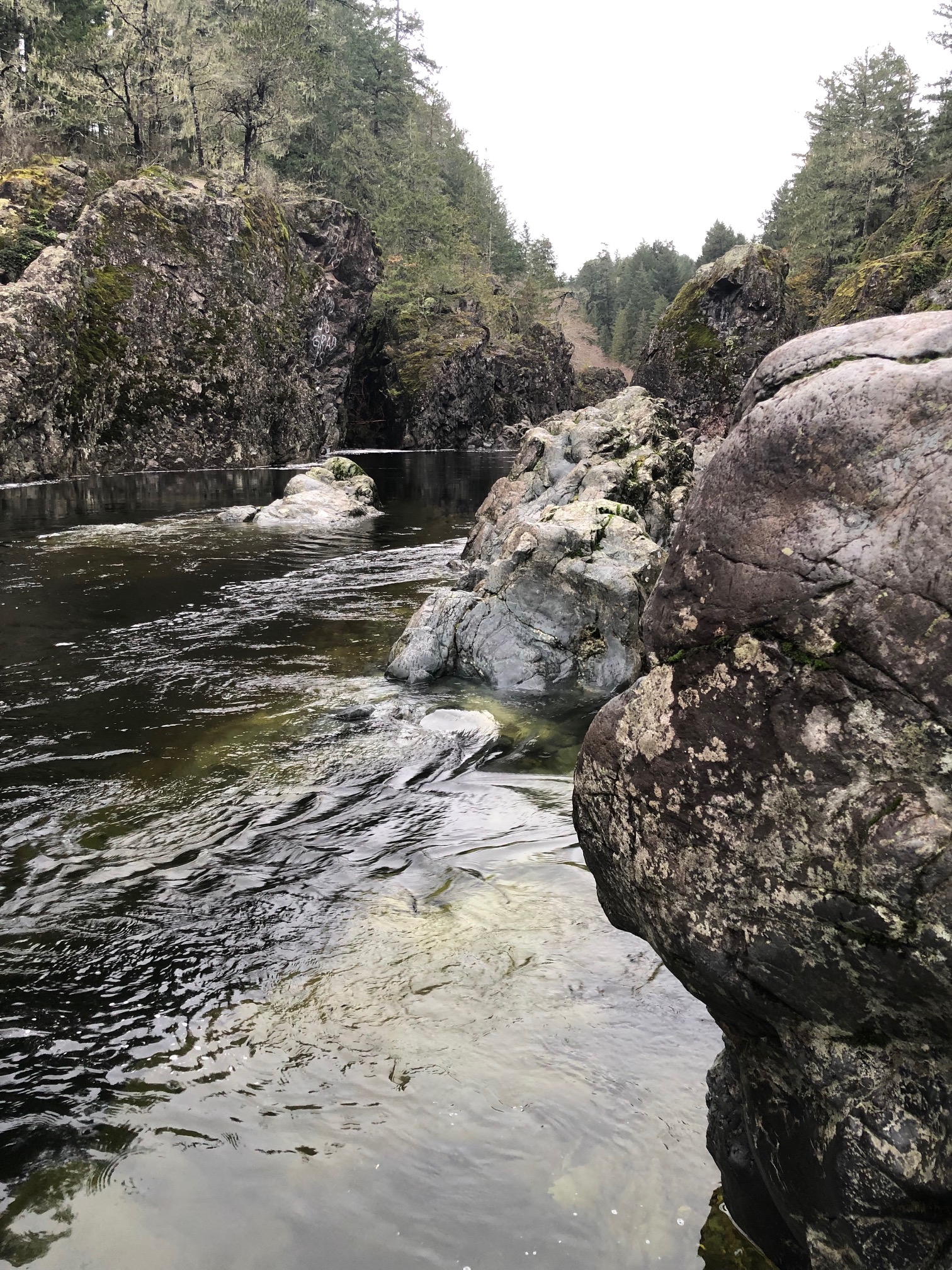 sooke potholes Jan 19.jpg